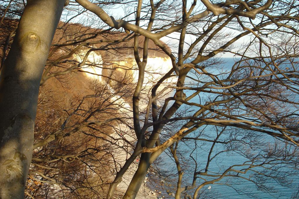 Ferienwohnung In Sassnitz Ruegen Naehe Weltnaturerbe Kreidekueste エクステリア 写真
