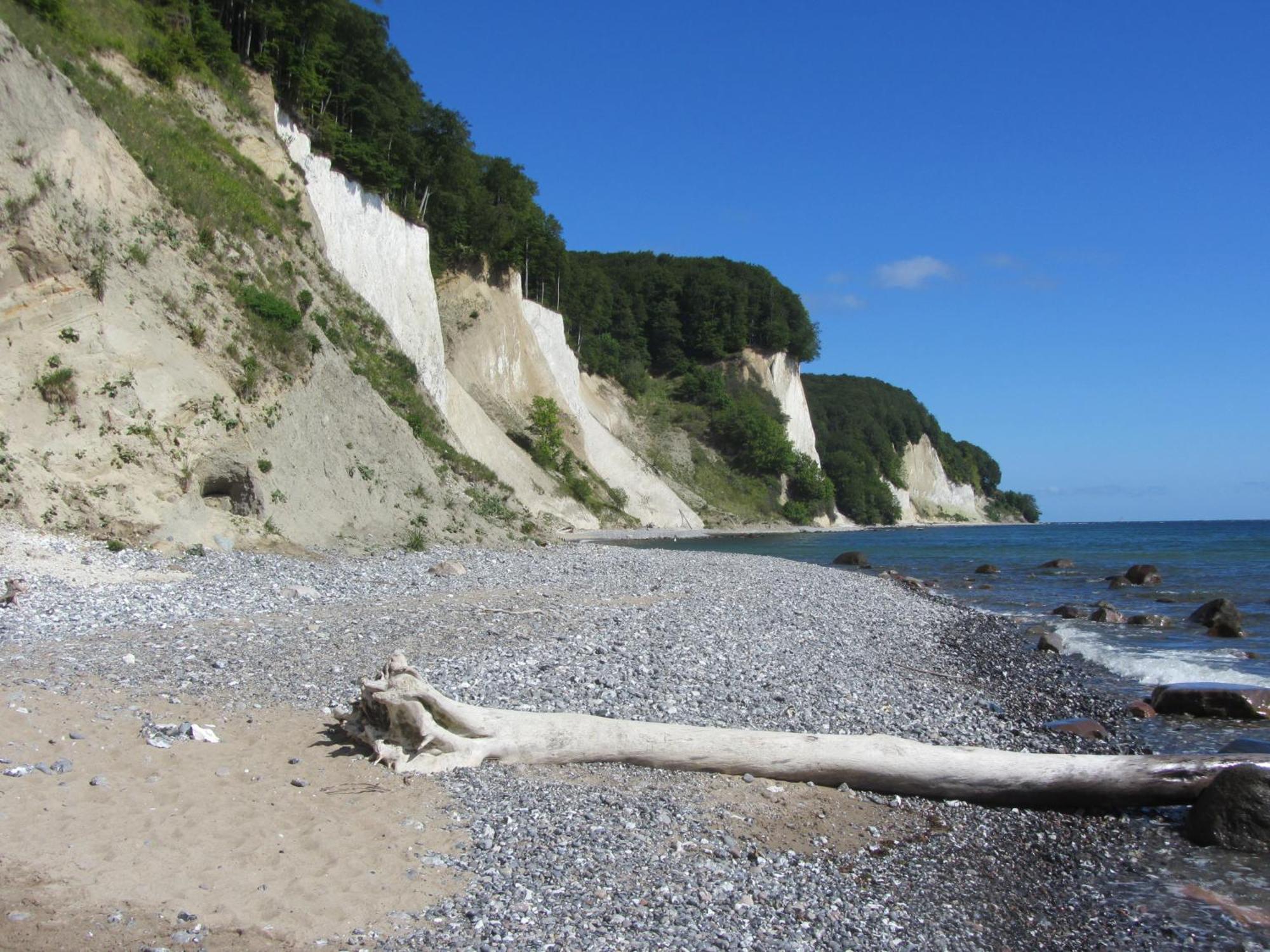 Ferienwohnung In Sassnitz Ruegen Naehe Weltnaturerbe Kreidekueste エクステリア 写真