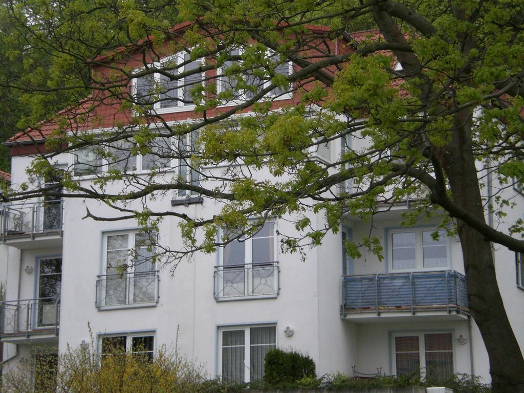 Ferienwohnung In Sassnitz Ruegen Naehe Weltnaturerbe Kreidekueste エクステリア 写真