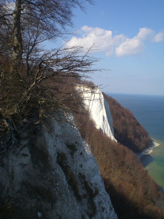 Ferienwohnung In Sassnitz Ruegen Naehe Weltnaturerbe Kreidekueste エクステリア 写真