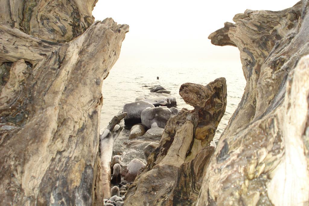 Ferienwohnung In Sassnitz Ruegen Naehe Weltnaturerbe Kreidekueste エクステリア 写真