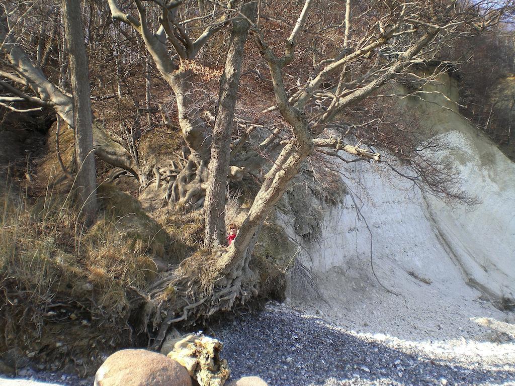 Ferienwohnung In Sassnitz Ruegen Naehe Weltnaturerbe Kreidekueste エクステリア 写真