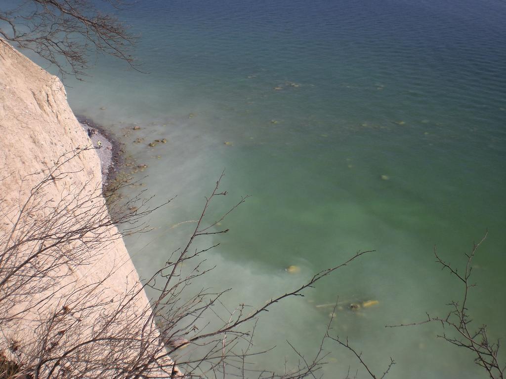 Ferienwohnung In Sassnitz Ruegen Naehe Weltnaturerbe Kreidekueste エクステリア 写真