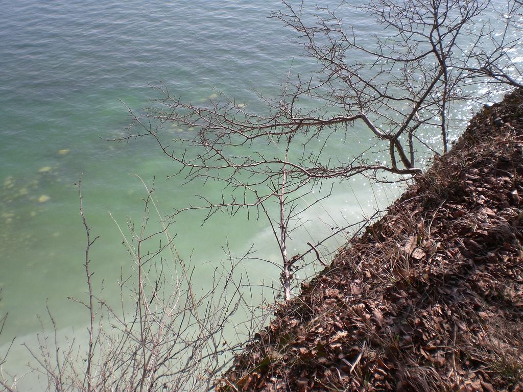Ferienwohnung In Sassnitz Ruegen Naehe Weltnaturerbe Kreidekueste エクステリア 写真