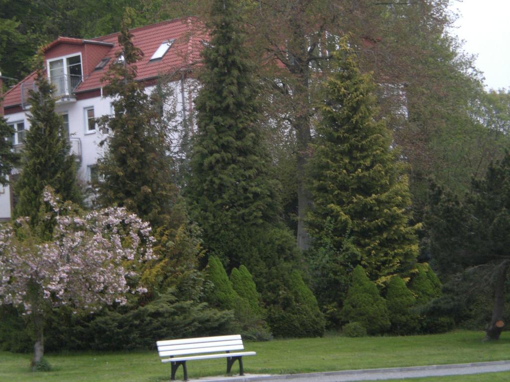 Ferienwohnung In Sassnitz Ruegen Naehe Weltnaturerbe Kreidekueste エクステリア 写真