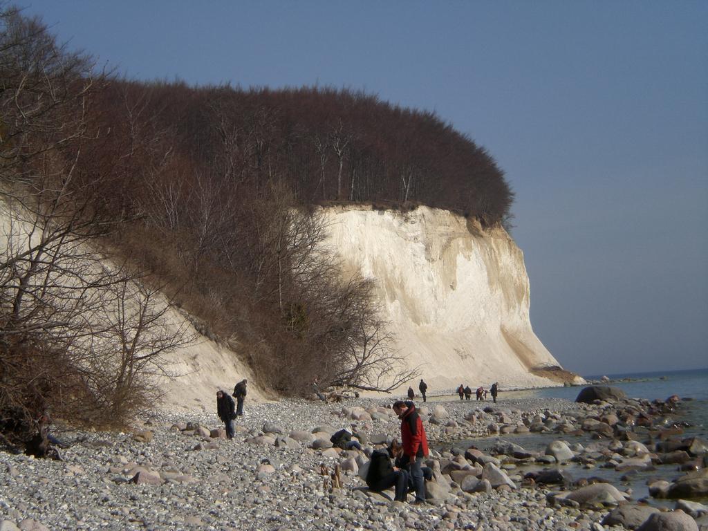Ferienwohnung In Sassnitz Ruegen Naehe Weltnaturerbe Kreidekueste エクステリア 写真