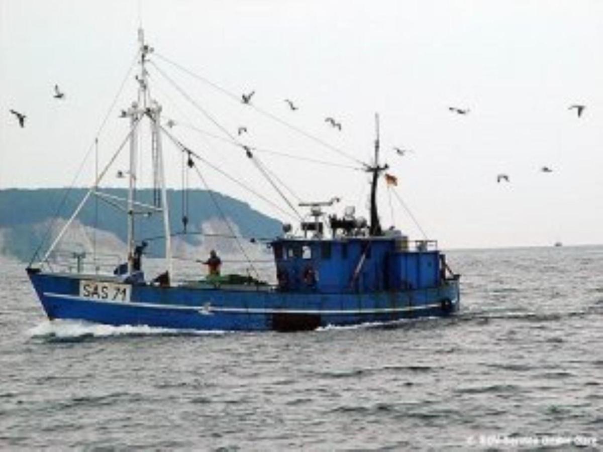 Ferienwohnung In Sassnitz Ruegen Naehe Weltnaturerbe Kreidekueste エクステリア 写真